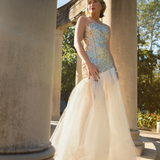 Eze Sequin Tulle Gown